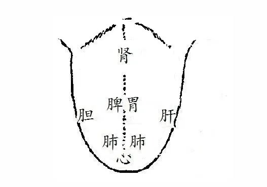 延伸阅读肠胃不佳